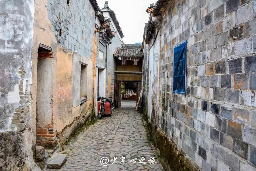 共建平安连心桥，绘就世纪新“枫”警！